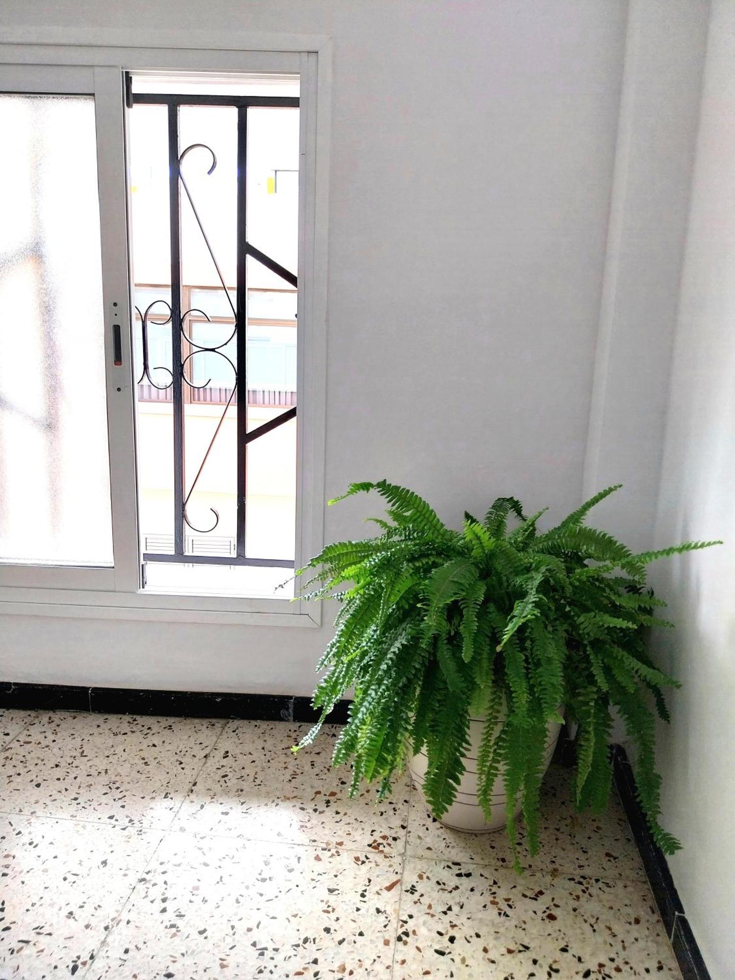 Roque'S House Apartment เตลเด ภายนอก รูปภาพ